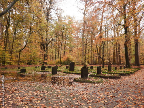 Graveyard in the woods