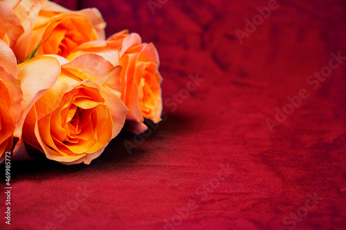 Background for Valentine's Day, March eighth, mother's Day, with pink roses. with space to copy