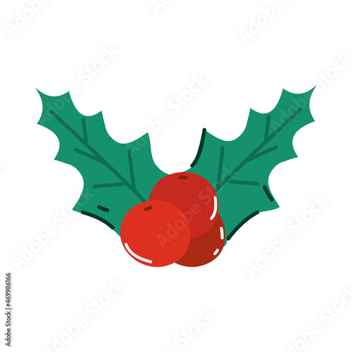 holly berry decoration