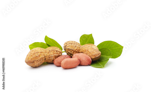 Ripe brown peanuts with leaves.