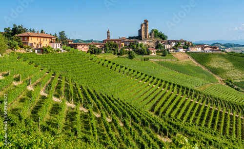 The beautiful village of Serralunga d Alba and its vineyards in the Langhe region of Piedmont  Italy.