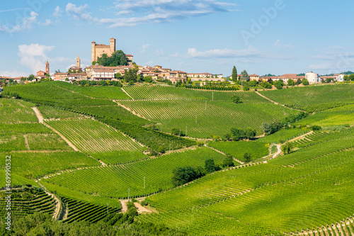 The beautiful village of Serralunga d'Alba and its vineyards in the Langhe region of Piedmont, Italy.