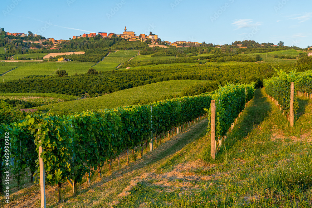 The beautiful villageof Diano d'Alba and its vineyards in the Langhe region of Piedmont, Italy.