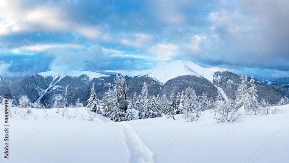 Fantastic winter landscape panorama with snowy trees and snowy peaks. Carpathian mountains, Ukraine. Christmas holiday background. Landscape photography