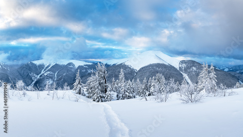 Fantastic winter landscape panorama with snowy trees and snowy peaks. Carpathian mountains, Ukraine. Christmas holiday background. Landscape photography © Ivan Kmit