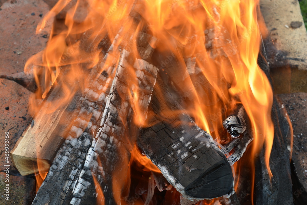 Fototapeta premium fire in a fireplace