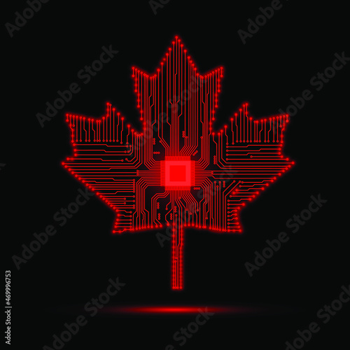 Maple leaf vector shape icon. Forest and wood symbol sign. Nature tree logo. Maple leaf of canada