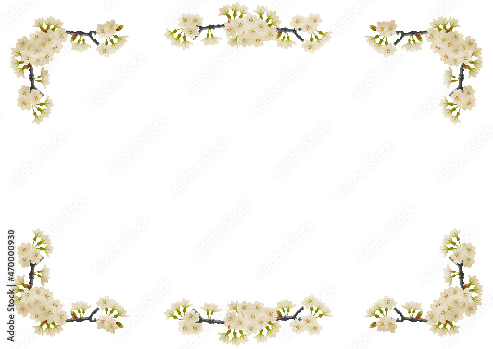 Obraz premium 桜の花と蕾のついた枝フレーム
