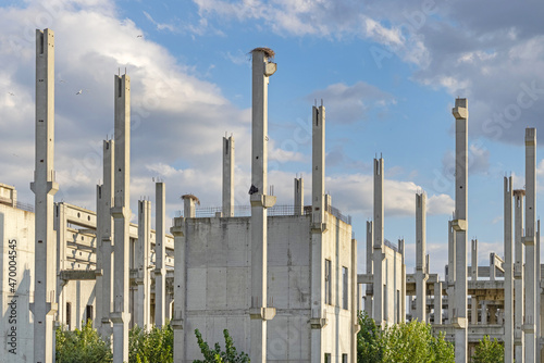 Concrete Skeleton Abandoned