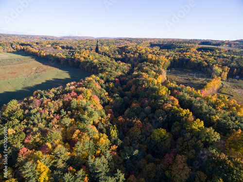 Aerial of fall foliage in autumn
