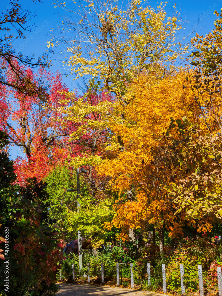 Beautiful fall color of the Gathering Place Beautiful fall color of the Gathering Place