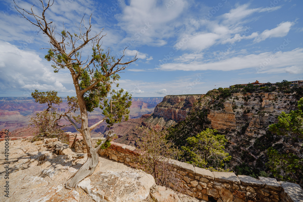 South Rim of the Grand Canyon in the Grand Canyon Village, scenic observation point