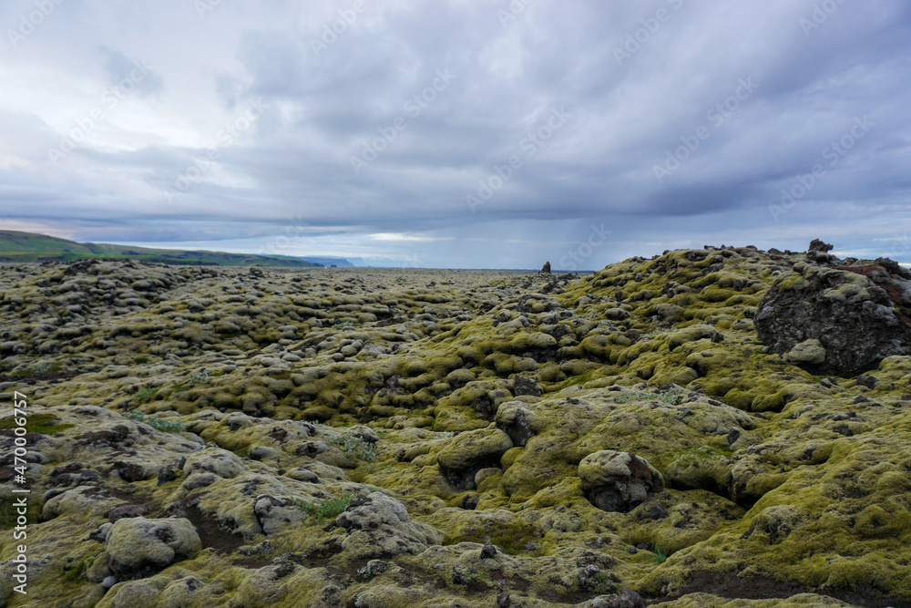 Moss on old lava rock on coast in southern Iceland