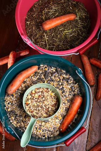 Obraz na płótnie professional muesli and granules for horses served in buckets with carrots. close up . feeding and horse care concept. w salonie