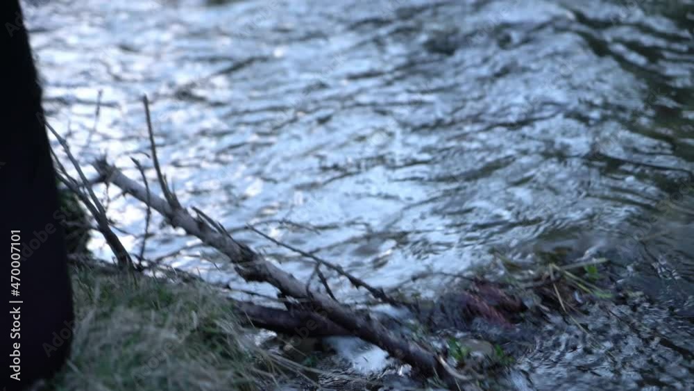 Hand pick up plastic water bottle and other contamination from river Hand pick up plastic water bottle and other contamination from river