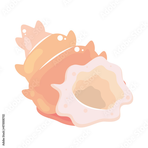 shell flat icon