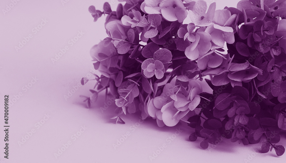 trendy background with leaves in velvet violet color.