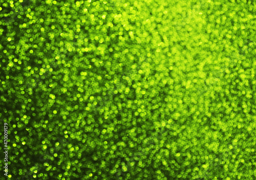 blurred green color bokeh background
