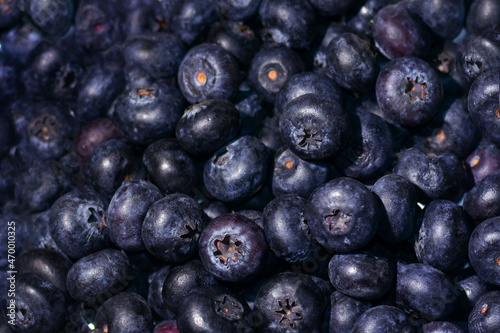 blueberry berries lie in a continuous layer close up. berry background