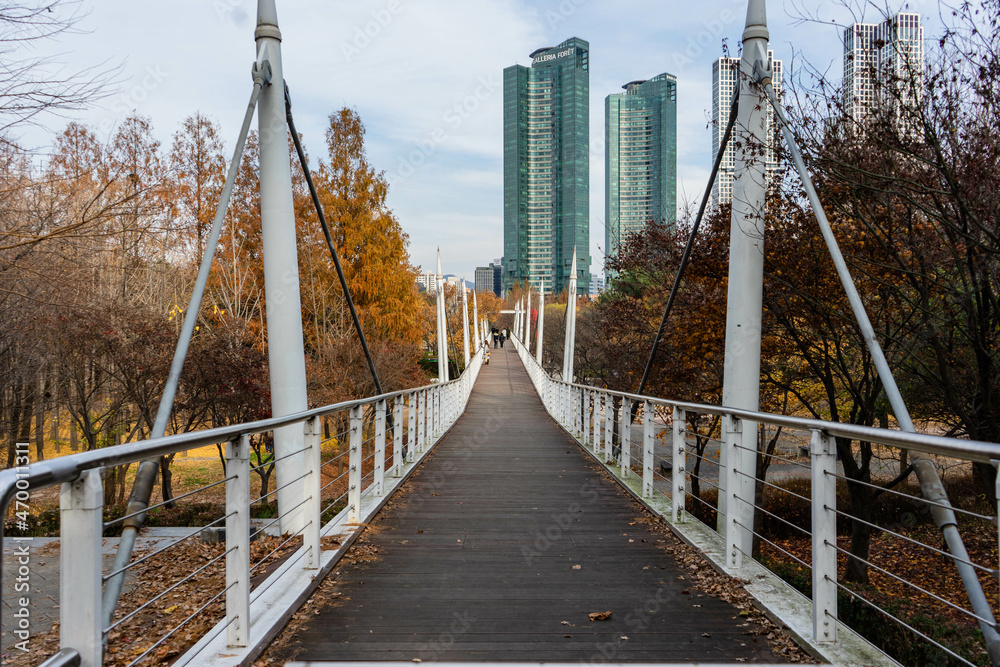 Fototapeta premium bridge over the river