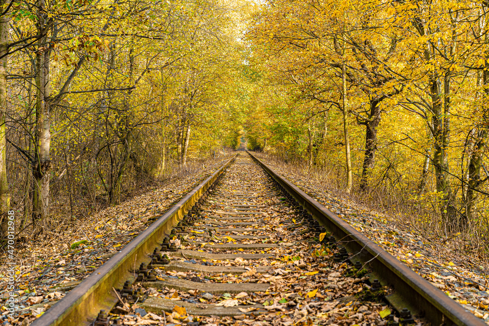 Obraz premium Railway between yellowed trees with falling leaves in autumn.