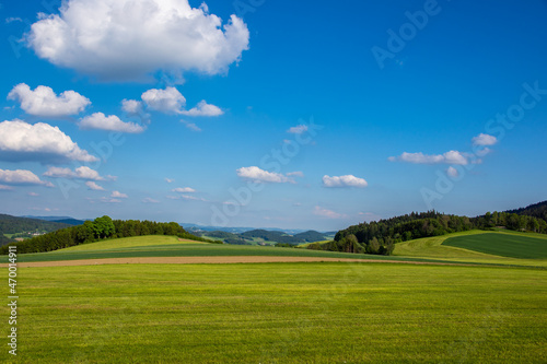 Fototapeta Naklejka Na Ścianę i Meble -  landscape with grass and sky