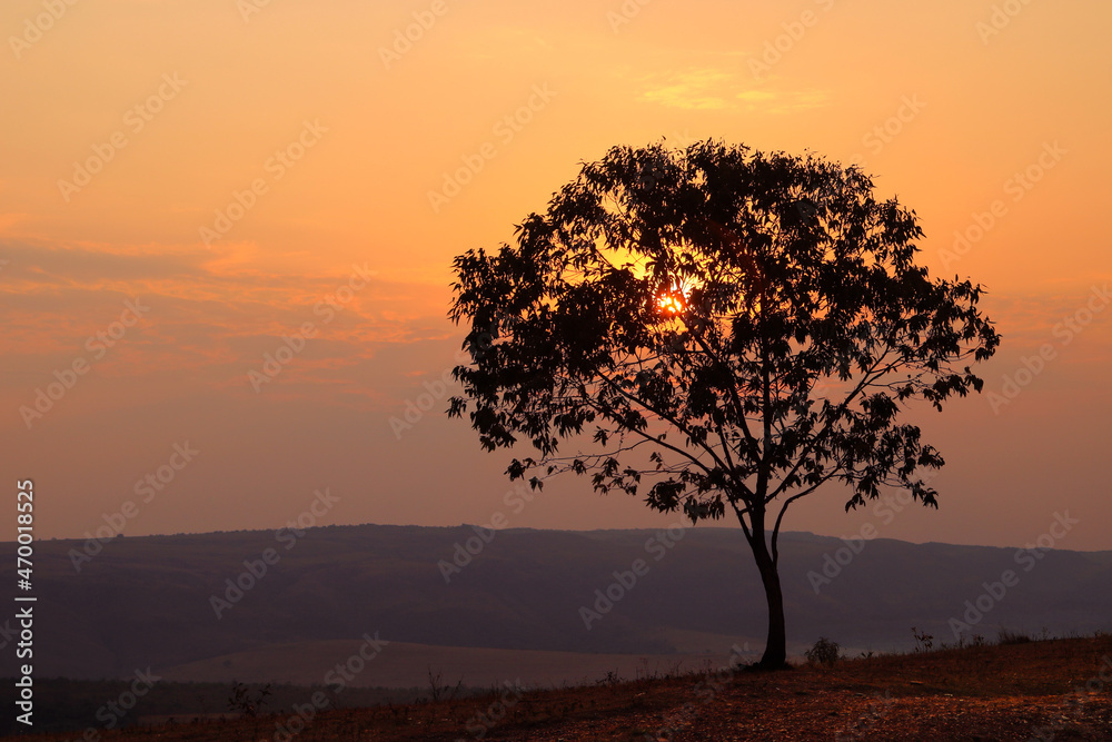 Sunset with a lonely tree in the mountains Sunset with a lonely tree in the mountains