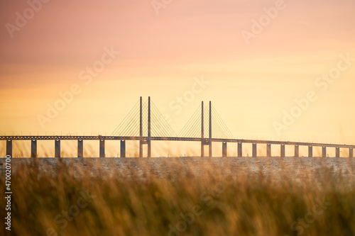 Warm summer sunset image of the Öresund bridge between Sweden and Denmark as seen from Limhamn, just outside Malmö behind high grass.