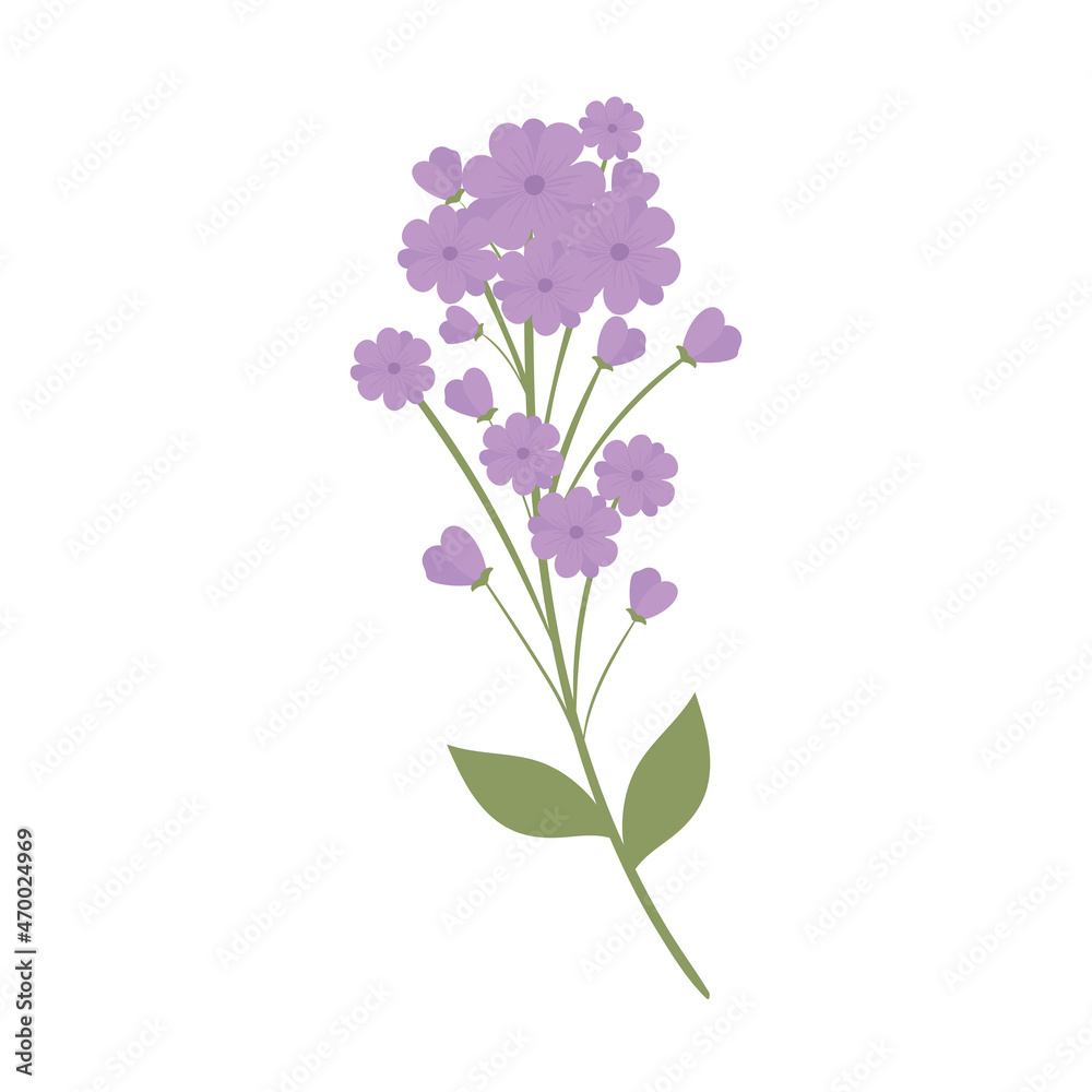 Obraz premium purple flowers bunch