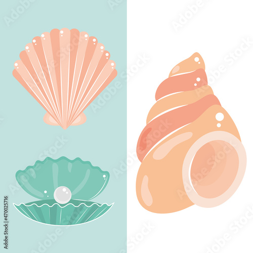 seashells tropical icons