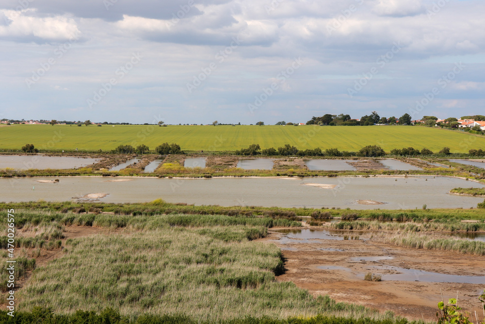Nouvelle Aquitaine - Charente-Maritime - vue sur le Marais de Pampin de La Rochelle Nouvelle Aquitaine - Charente-Maritime - vue sur le Marais de Pampin de La Rochelle