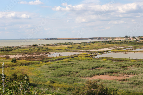 Nouvelle Aquitaine - Charente-Maritime - Marais de Pampin de La Rochelle et au loin le Port du Plomb