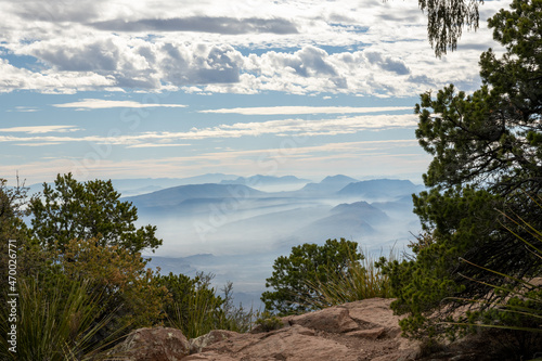 Trees Frame The View of The Foggy Valley Below in Big Bend photo