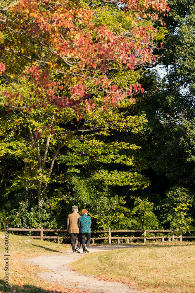 秋の公園で散歩しているシニア夫婦 秋の公園で散歩しているシニア夫婦