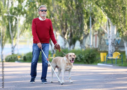 Blind senior man with guide...