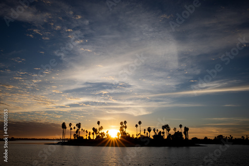 Starburst Sunset over Palm Trees in Mission Bay, San Diego, California