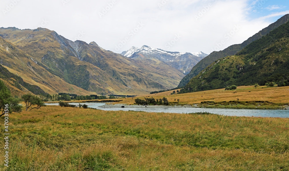 Matukituki Valley, New Zealand
