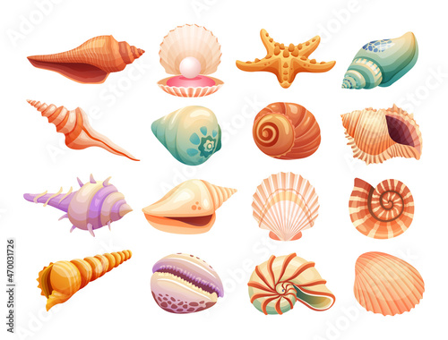 Set of seashells illustration isolated on white background