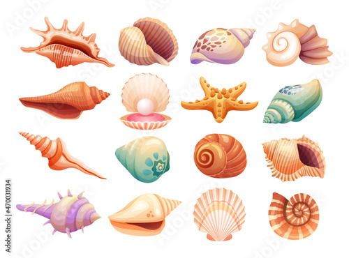 Set of various seashells illustration isolated on white background