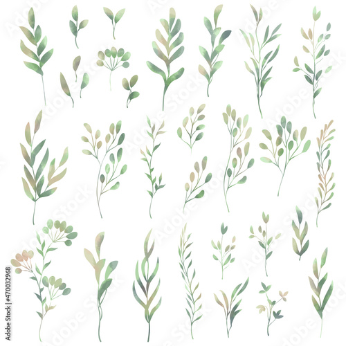 Spring foliage. Set of clipart elements for design in a watercolor style.