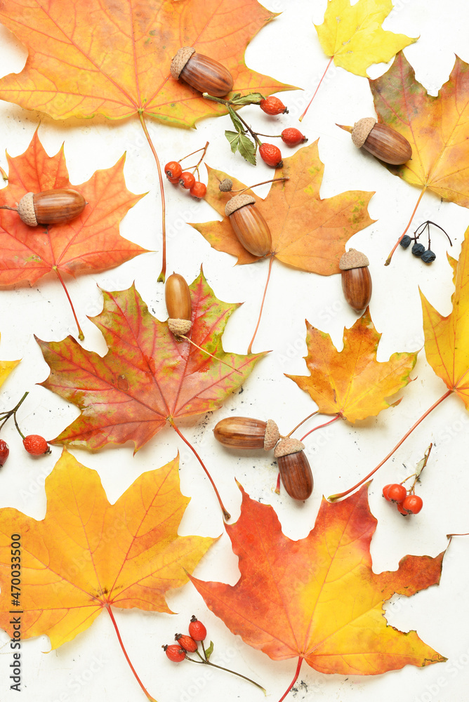 Autumn leaves, berries and acorns on light background, closeup
