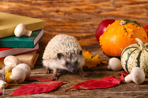 Cute hedgehog, mushrooms an...