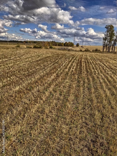 plowed field in autumn