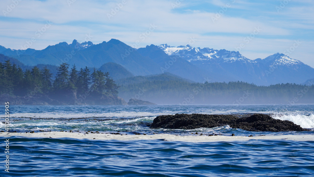 Pacific Ocean Wave splashing against big rock in Tofino with tall trees and snow mountain view background