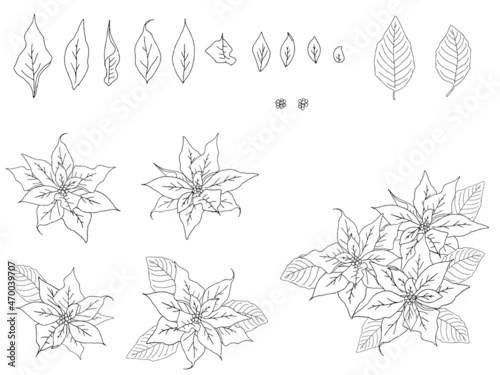 ポインセチアのイラストセット_線画