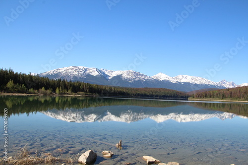 reflections on patricia lake, Jasper National Park, Alberta photo