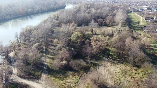 panorama of the forest