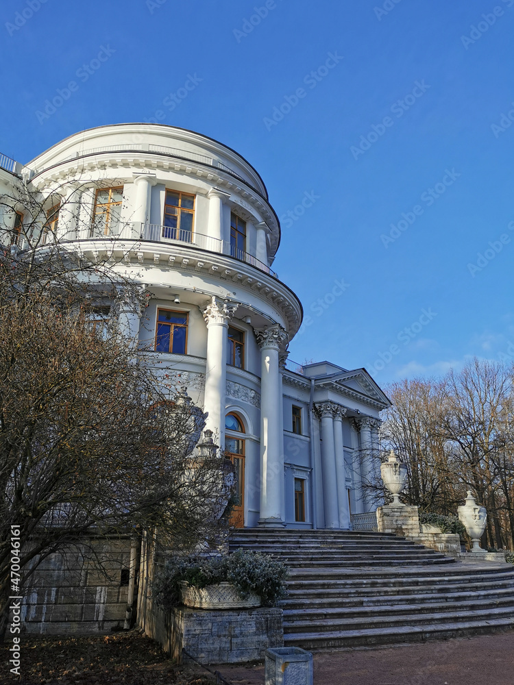 Elaginoostrovsky Palace surrounded by trees and bushes with fallen leaves against a blue sky.