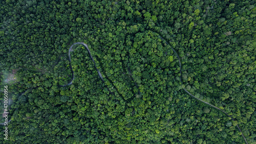 Aerial view of the mountain road, the street from above through a misty forest at rainy season, aerial view flying through the clouds with fog and trees.
