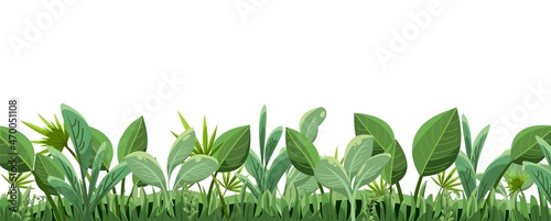 Wallpaper Mural Tropical herbs and shrubs. Jungle meadow. Palm shoots trees and nice summer weather. Isolated on white background. Overgrown garden bed. Funny cartoon style. Green countryside landscape. Vector. Torontodigital.ca